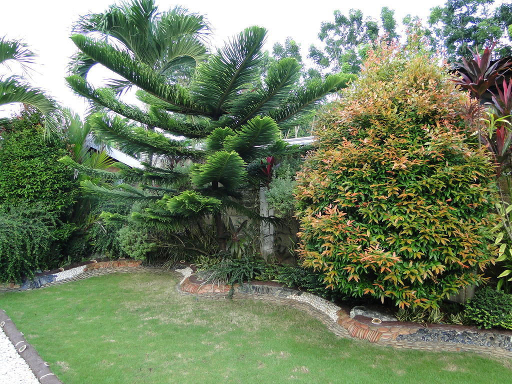بويرتو برينسيسا Susan'S Place Bed And Breakfast المظهر الخارجي الصورة